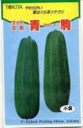 送料無料　[瓜類]　青駒　30粒　トキタ種苗(株)