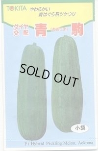 送料無料　[瓜類]　青駒　100粒　トキタ種苗(株)