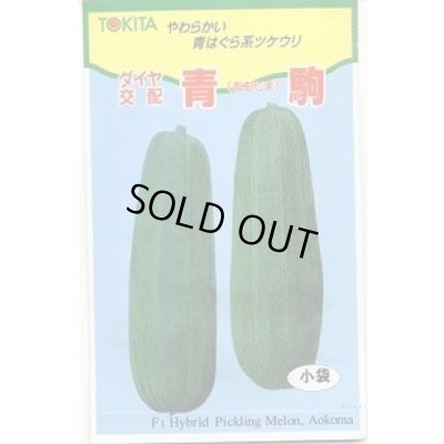 画像1: 送料無料　[瓜類]　青駒　100粒　トキタ種苗(株)