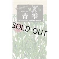 送料無料　[枝豆]　青雫　70ml(およそ140粒)　雪印種苗(株)