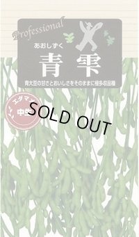 送料無料　[枝豆]　青雫　70ml(およそ140粒)　雪印種苗(株)