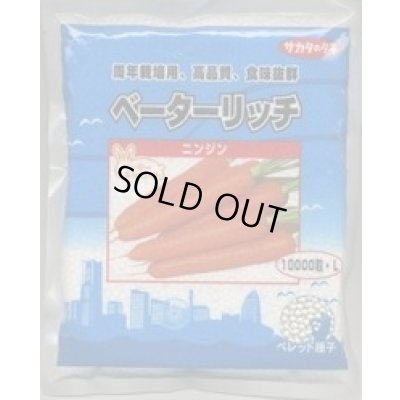 画像1: 送料無料[人参] ベーターリッチ 1万粒 Lサイズ ペレット種子 (株)サカタのタネ