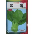 送料無料　[中国野菜]　チンゲンサイ　武帝チンゲンサイ　20ml