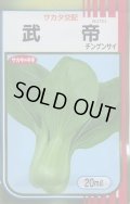 送料無料　[中国野菜]　チンゲンサイ　武帝チンゲンサイ　20ml
