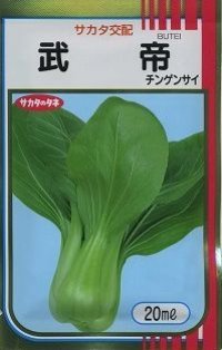 [中国野菜]　チンゲンサイ　武帝チンゲンサイ　ペレット5000粒　サカタのタネ（株）