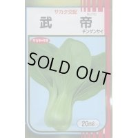 [中国野菜]　チンゲンサイ　武帝チンゲンサイ　20ml