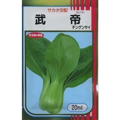 画像1: [中国野菜]　チンゲンサイ　武帝チンゲンサイ　ペレット5000粒　サカタのタネ（株）