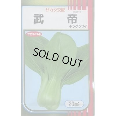 画像1: [中国野菜]　チンゲンサイ　武帝チンゲンサイ　20ml