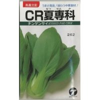 [中国野菜]　チンゲンサイ　CR夏専科　2.5ml  　（株）タカヤマシード