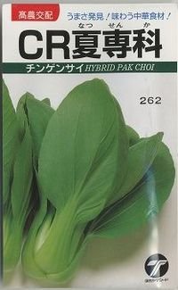 [中国野菜]　チンゲンサイ　CR夏専科　2.5ml  　（株）タカヤマシード