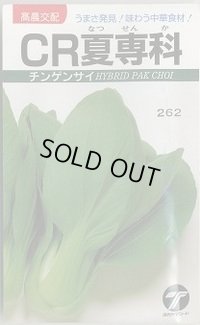 送料無料　[中国野菜]　チンゲンサイ　CR夏専科　2.5ml　(株)タカヤマシード