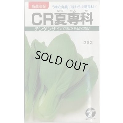 画像1: 送料無料　[中国野菜]　チンゲンサイ　CR夏専科　2.5ml　(株)タカヤマシード