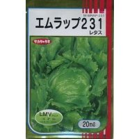 送料無料　[レタス]　エムラップ231　20ml　（株）サカタのタネ