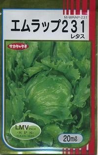 送料無料　[レタス]　エムラップ231　20ml　（株）サカタのタネ