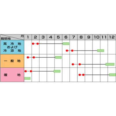 画像3: [ブロッコリー]　送料無料！　 グランドーム  ペレット種子　5000粒  サカタのタネ（株）