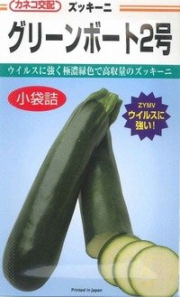 送料無料　[ズッキーニ]　グリーンボート2号　10粒　カネコ交配