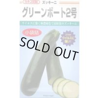 送料無料　[ズッキーニ]　グリーンボート2号　10粒　カネコ種苗（株）