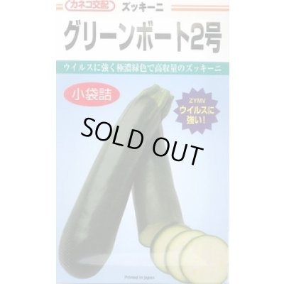 画像1: 送料無料　[ズッキーニ]　グリーンボート2号　100粒　カネコ種苗（株）