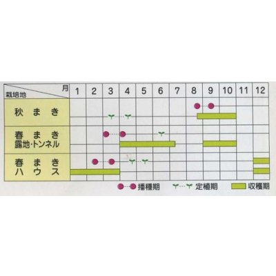 画像2: 送料無料　[葉物]　ニラ　グリーンロード　2dl　(株)サカタのタネ