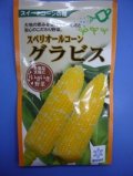 送料無料　[とうもろこし]　グラビス　200粒　雪印種苗