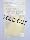 送料無料　[とうもろこし]　グラビス　200粒　雪印種苗（株）