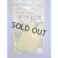 送料無料　[とうもろこし]　グラビス　200粒　雪印種苗（株）