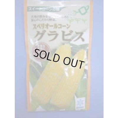 画像1: 送料無料　[とうもろこし]　グラビス　200粒　雪印種苗（株）