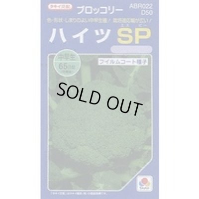 画像1: [ブロッコリー]　ハイツＳＰ　ペレット5千粒　タキイ種苗（株）