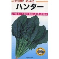 送料無料　[ほうれんそう]　ハンター　32ml　カネコ種苗（株）