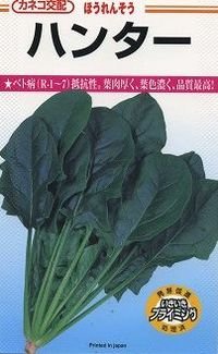 送料無料　[ほうれんそう]　ハンター　32ml　カネコ種苗（株）