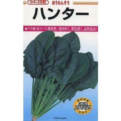 画像1: 送料無料　[ほうれんそう]　ハンター　32ml　カネコ種苗（株）