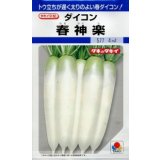 送料無料　[大根]　春神楽　3.5ml　タキイ種苗(株)　DF
