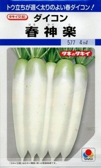 送料無料　[大根]　春神楽　3.5ml　タキイ種苗(株)　DF