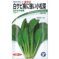 送料無料　[小松菜]　はるな小松菜　6ml　(株)タカヤマシード