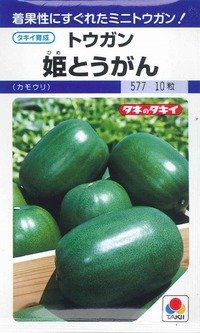 [瓜類]　姫とうがん　100粒　タキイ種苗（株）　