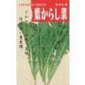 送料無料　[葉物]　葉からし菜　20ml　（株）タカヤマシード