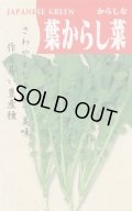 送料無料　[葉物]　葉からし菜　20ml