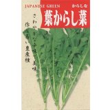 送料無料　[葉物]　葉からし菜　20ml　（株）タカヤマシード