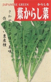 送料無料　[葉物]　葉からし菜　20ml　（株）タカヤマシード