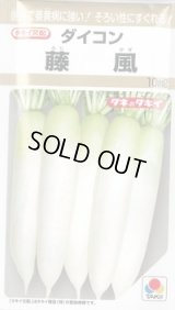 送料無料　[大根]　藤風　10ml　タキイ種苗(株)