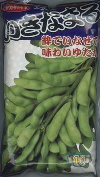 [枝豆]　いきなまる　1Ｌ　（株）サカタのタネ