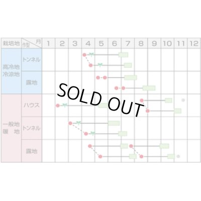 画像5: 送料無料　[枝豆]　いきなまる　1dL　(株)サカタのタネ