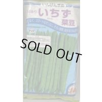 [いんげん]　いちず菜豆　2000粒　カネコ種苗（株）