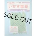 送料無料　[いんげん]　いちず菜豆　200粒　カネコ種苗（株）