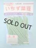 送料無料　[いんげん]　いちず菜豆　200粒　カネコ種苗（株）