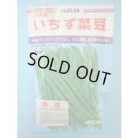 送料無料　[いんげん]　いちず菜豆　200粒　カネコ種苗（株）