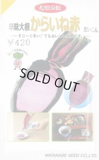 [大根] 辛味からいね赤 5.4ml (株)渡辺採種場