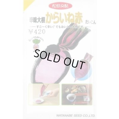 画像1: [大根] 辛味からいね赤 5.4ml (株)渡辺採種場