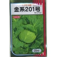 [キャベツ]　金系201号　2000粒　サカタ交配　