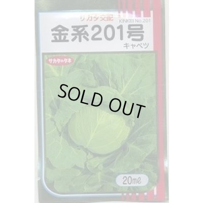 画像1: 送料無料　[キャベツ]　金系201号　2000粒　（株）サカタのタネ